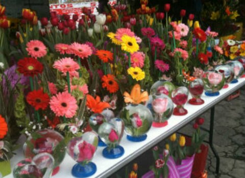 Dejará 14 de febrero derrama de 30 mdp