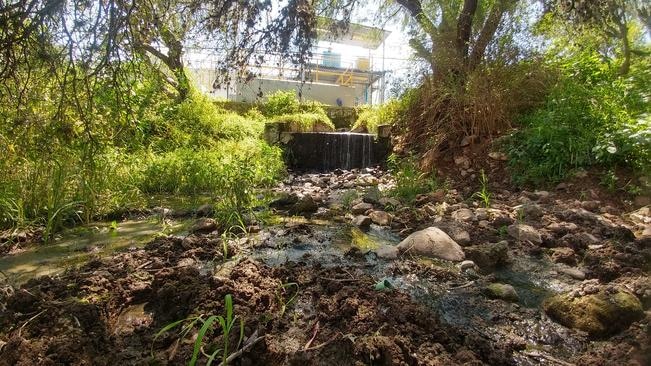 Denuncian contaminación de planta tratadora en SJR