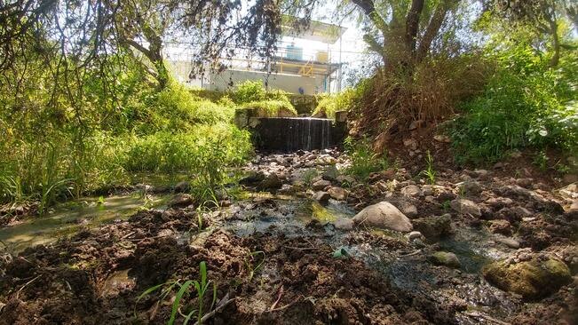 En la parte trasera de la planta tratadora hay un tubo que vierte agua de color opaco y olor fétido. (ALMA CÓRDOVA. EL UNIVERSAL)