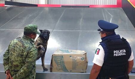 Suman 6 investigaciones por tráfico de droga en aeropuerto de Querétaro