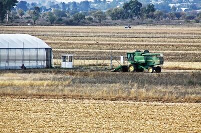 Invertirán 150 mdp en campo de San Juan