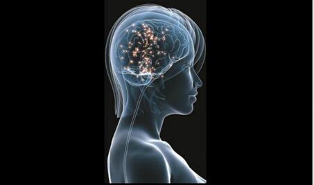 El cerebro también se calienta con la ola de calor