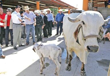 El estado destaca por producción de carne  