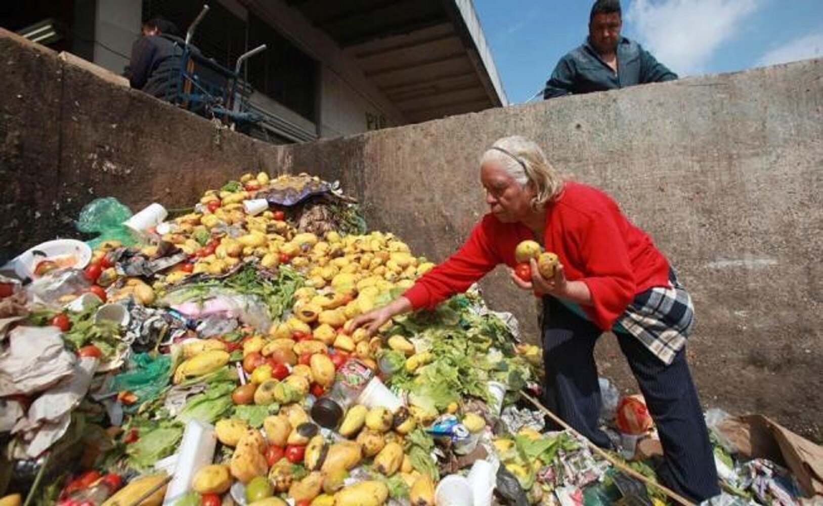 Mexicanos desperdician 20.4 millones de toneladas de alimentos al año