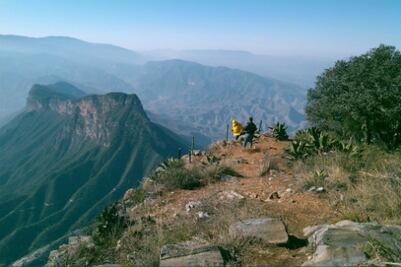 Lanza la Conafor concurso de fotografía