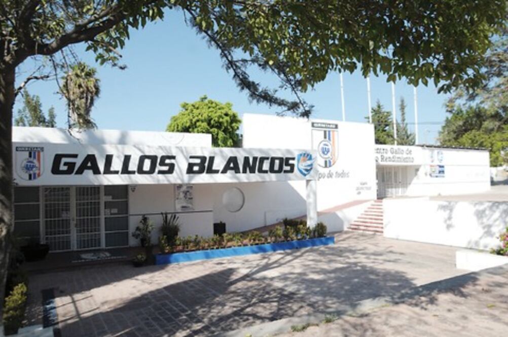 Hacienda solicita informes de Gallos