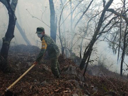 Se incendian 300 hectáreas en la Sierra Gorda 