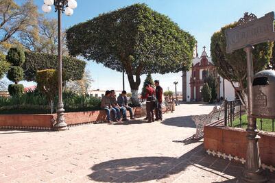 Anaya: deforestación es por turismo