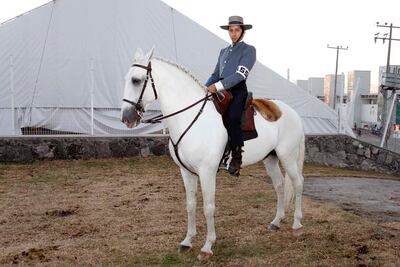 Elegancia y encanto con los caballos lusitanos