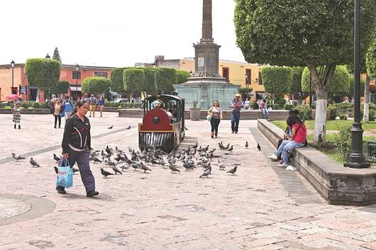 Lamenta alto índice de violaciones a mujeres