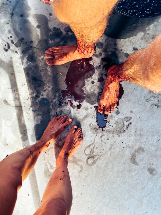 Foto: Pexels.