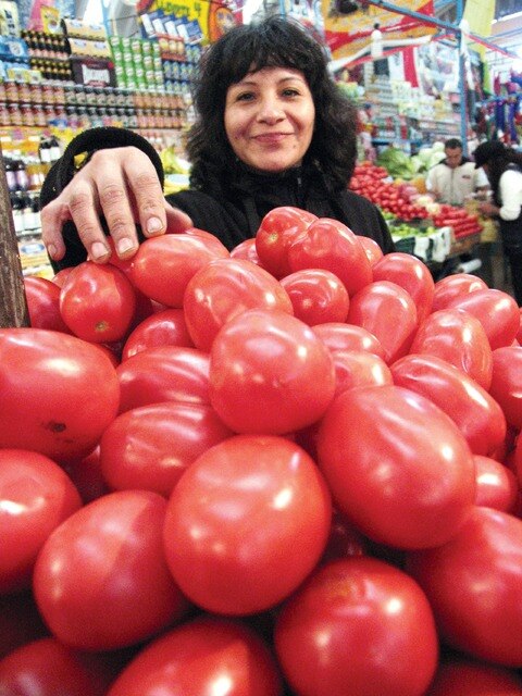 Crece Querétaro en sector jitomatero