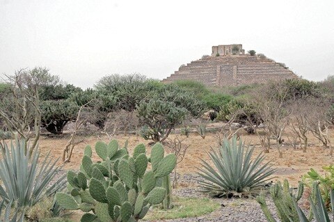 Preparan plan de limpia para El Cerrito 