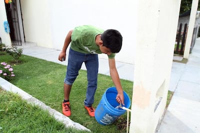 Piden sancionar uso de agua potable en riego