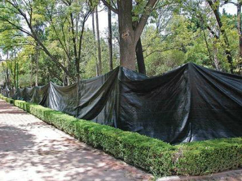 Mil obras serán evaluadas