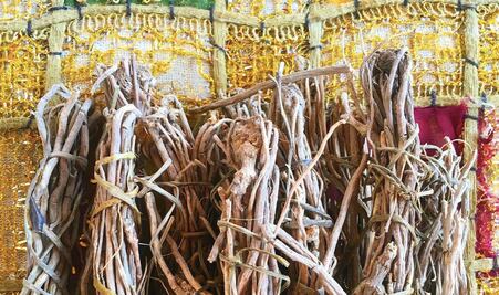 La encuentras en Querétaro: la raíz de oro y su poder analgésico