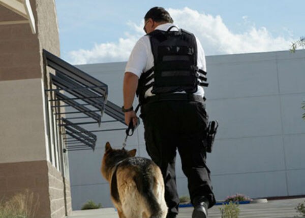 Sólo 4 empresas pueden portar armas