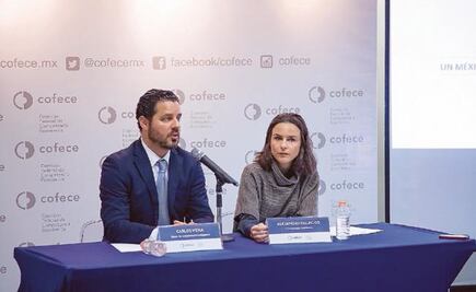 Cofece pide ajuste a iniciativa