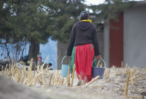 Desempleadas 40% de mujeres en Huimilpan