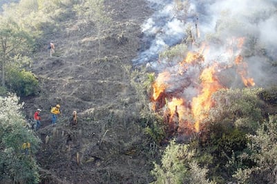   Protección Civil combate incendio forestal en San Joaquín 