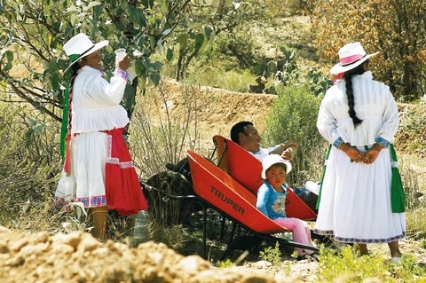 Crean Comisión de Asuntos Indígenas