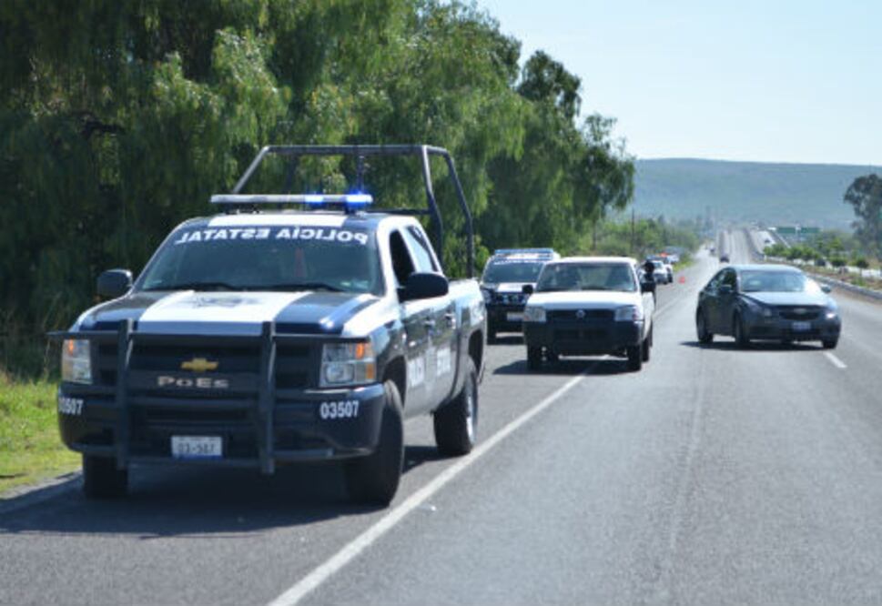 Efecto cucaracha afecta a Querétaro
