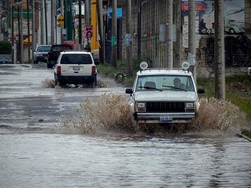 Lluvia deja caída de árboles y calles con encharcamientos