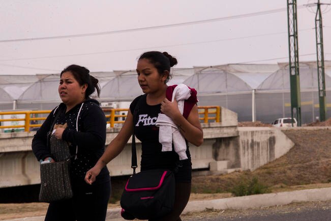 Agropark da empleo a 2 mil 400 personas
