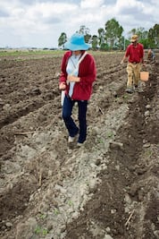 Preparando la tierra de temporal