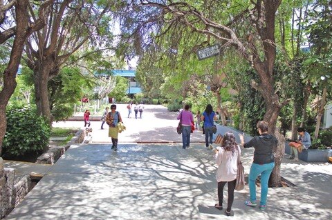 1 mdp para movilidad estudiantil