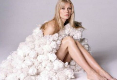 Gwyneth Paltrow, en lencería para Thanks for sharing