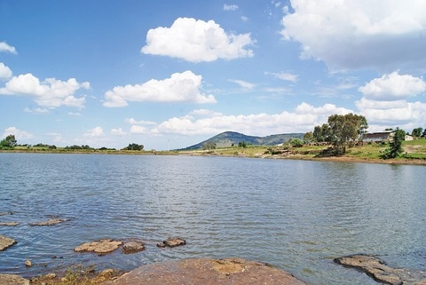 Presas garantizan siembras, afirman