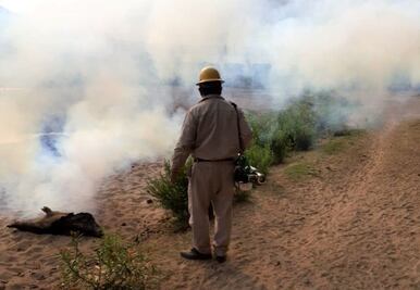Peñamiller y Arroyo Seco son los municipios más afectados por el dengue
