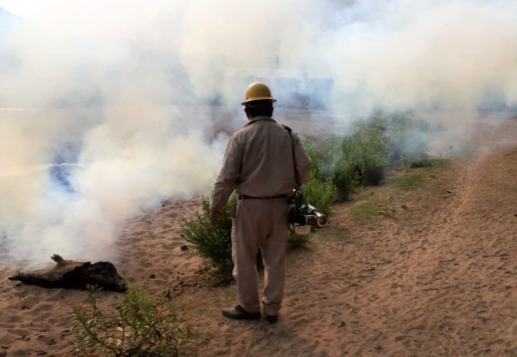 Querétaro registra 2 mil 828 casos acumulados de dengue en 2024. Foto: Especial