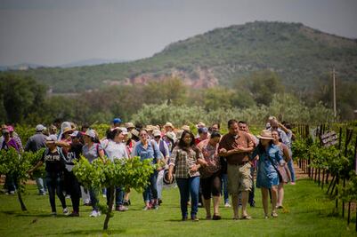 Vino, queso y mucho arte