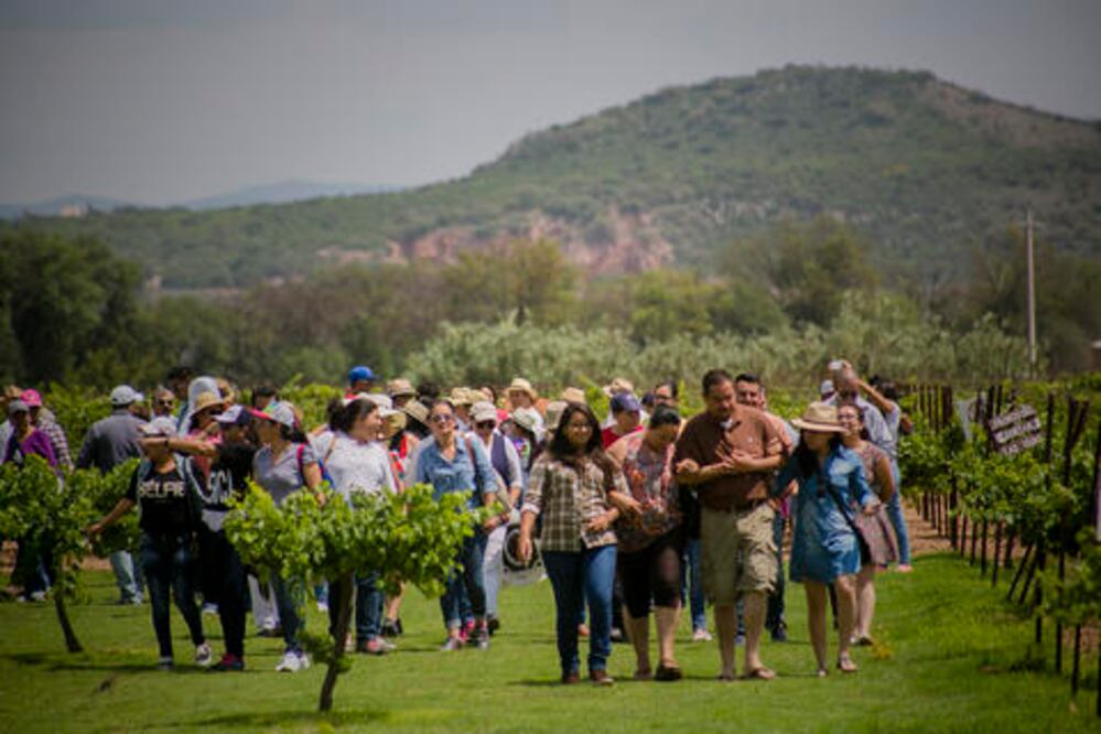 Vino, queso y mucho arte