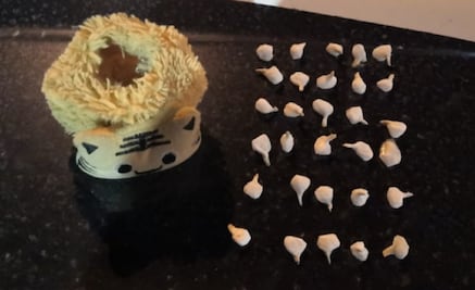 En Aguascalientes, detienen a hombre por trasladar droga en un peluche