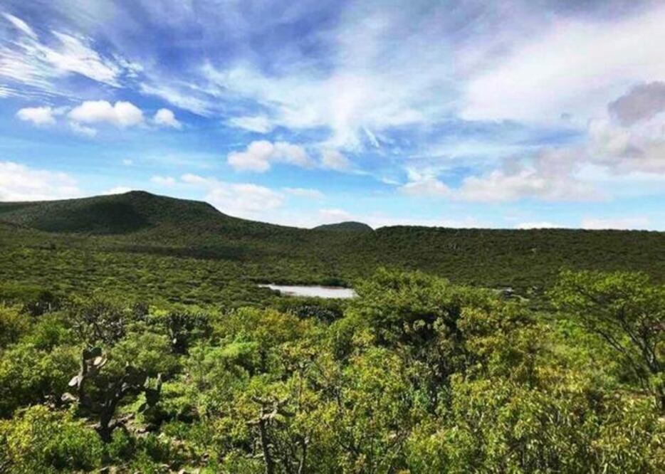 Foto: Archivo. El Universal