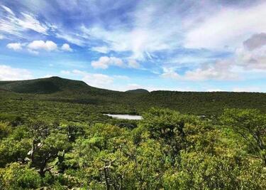 Proceso lleva avance de 90%, asegura Marco del Prete