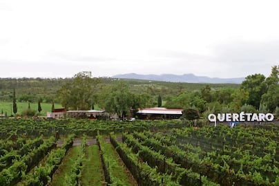 Lánzate a esta experiencia con vino, música y arte