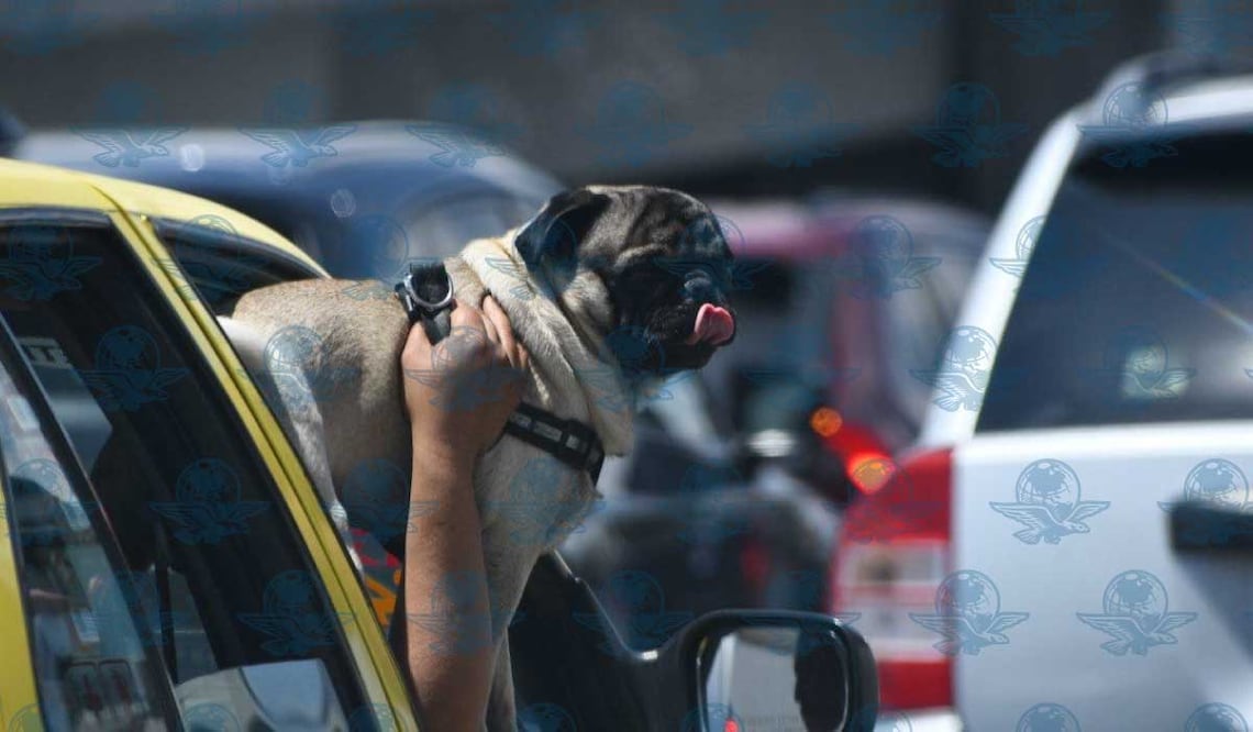 Foto: Ángel González