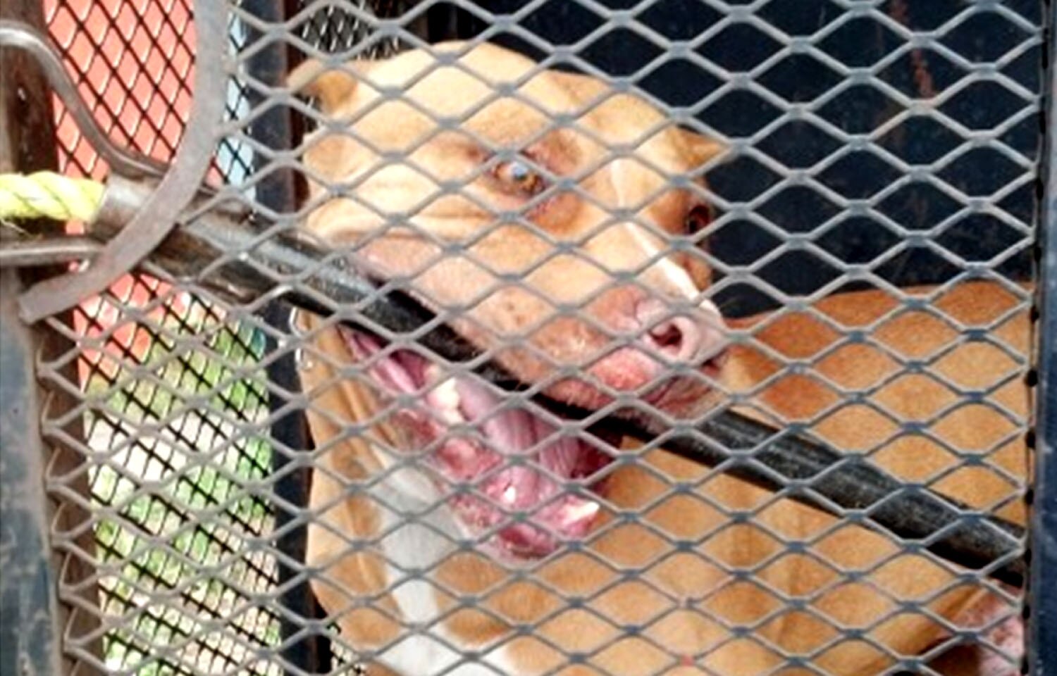 Foto: Archivo. El Universal