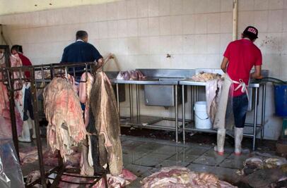 Reportan 18 casos de intoxicación por carne en Peñamiller