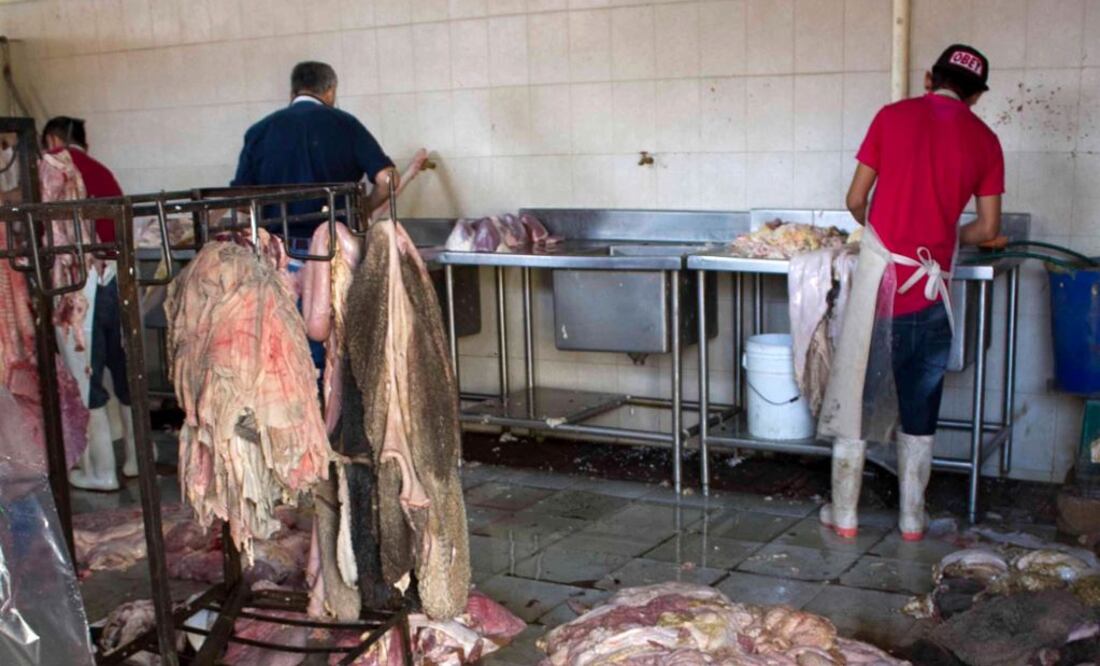 Foto. Archivo El Universal