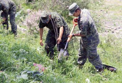 Corregidora: plantan militares 220 árboles