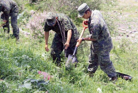 Corregidora: plantan militares 220 árboles