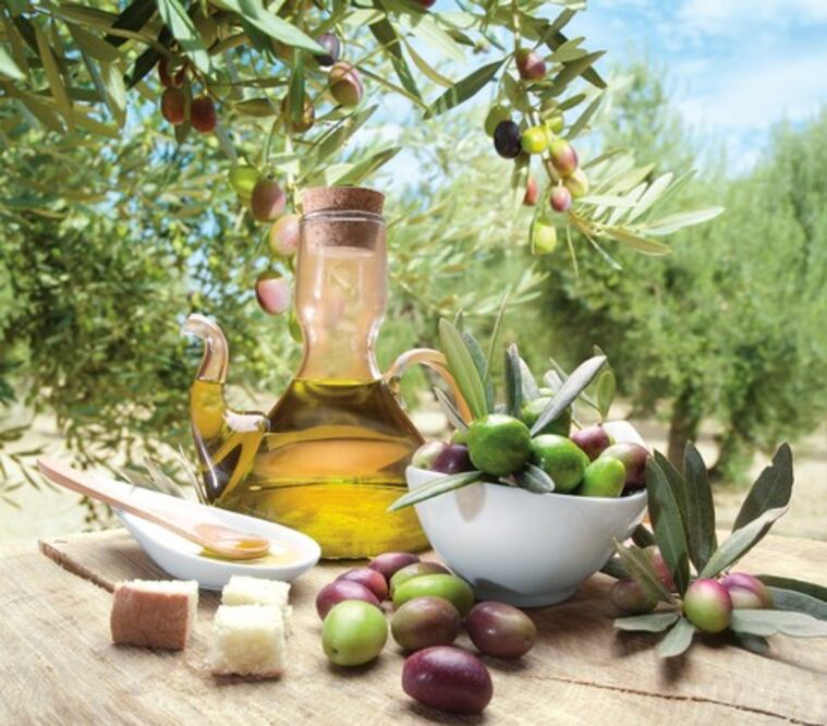 Las virtudes de un chileno