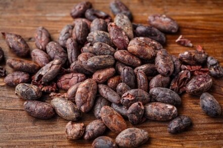 El cacao y el chocolate podrían ayudar a controlar la presión arterial