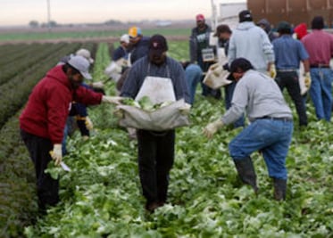 Migrantes ganan demanda en EU