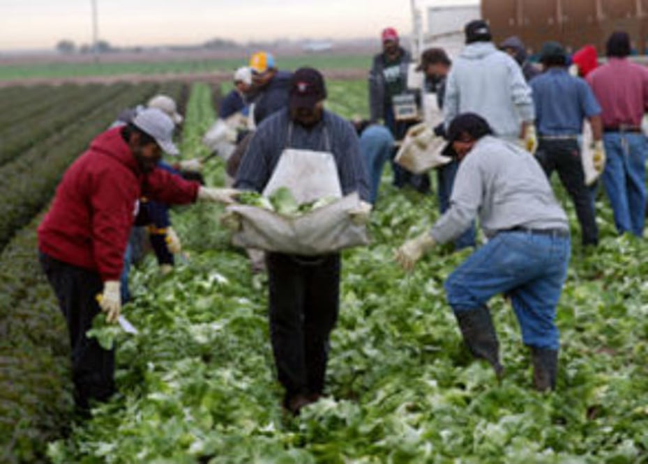 Migrantes ganan demanda en EU